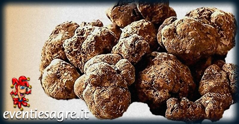 Fiera Del Tartufo San Sebastiano Curone