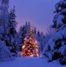 Mercatini di Natale, Natale A Montecchio Sapori E Armonie Natalizie - Vallefoglia (PU)