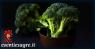 Taccalacci ai broccoletti e sarciccia, Piatto Tipico Laziale - Anguillara Sabazia (RM)