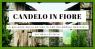 Candelo in Fiore, Edizione 2022 - Candelo (BI)