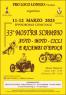 Mostra scambio auto - moto - cicli e ricambi d'epoca, 33ima Edizione Del Grande Mercato Di Lonigo - Lonigo (VI)