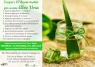 Aloe Vera, 10 Buoni Motivi Per Usarla Nella Vita Quotidiana - Rogno (BG)