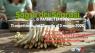 Sagra dei Sparasi de Mambrotta, Sagra Degli Asparagi 2026 - San Martino Buon Albergo (VR)