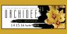 Orchidee In Centro, Orchidee Dal Mondo 2023 - Monte Porzio Catone (RM)