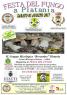 Festa del Fungo, 26^ Edizione - Platania (CZ)