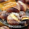 Festa delle Castagne, Edizione 2019 - Recoaro Terme (VI)