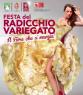 Fiera del Radicchio Variegato di Castelfranco IGP, Una Domenica Di Festa Col Radicchio - Castelfranco Veneto (TV)