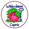 La mela E Dintorni, 23ima Mostra Mercato A Caprie - Caprie (TO)