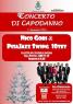 Concerto di Capodanno, con lo swing di Nico Gori e il Pisa Jazz Swing 10tet - Cascina (PI)