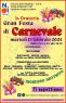 Carnevale Torresano, Festa Con Il Carnevale Di Torre Di Mosto - Torre Di Mosto (VE)
