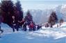 Coi Ciaspe in Val del Ris, Sport Invernale - Gorno (BG)