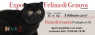 Mostra Internazionale Felina, World Cats Alla Fiera Di Genova - Genova (GE)