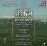 Festa degli Asparagi Sevatici, 26ima Edizione - 2026 - Postiglione (SA)