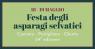 Festa degli Asparagi Sevatici, 24ima Edizione - 2024 - Postiglione (SA)