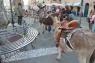 A Passeggio con gli Asini, Edizione 2016 - Santa Margherita Ligure (GE)