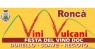 Festa del Vino di Roncà, Edizione 2019 - Roncà (VR)