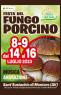 Festa Del Fungo Porcino, Edizione 2023 - Montoro (AV)