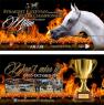 STRAIGHT EGYPTIAN WORLD CHAMPIONSHIP, Quinta Edizione Del Campionato Del Mondo Del Cavallo Puro Egiziano - Vermezzo (MI)