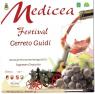 Festa Medicea, 46°edizione Medicea Wine &food Festival - Cerreto Guidi (FI)