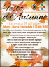 Festa d'Autunno, Edizione 2019 - Mozzo (BG)