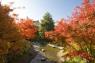 Fall Foliage e Indian Summer ai Giardini di Sissi, Novembre: Prezzo Ridotto - Merano (BZ)