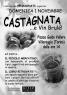 Castagne e Vin Brulè,  - Villareggia (TO)