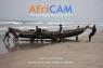 AfriCAM, Contemporary art in Africa - Casoria (NA)