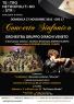 Concerto Sinfonico, Orchestra Gruppo D'archi Veneto - San Donà Di Piave (VE)