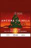 Natale in Ancona, Tutti Gli Eventi Di Natale In Città - Ancona (AN)