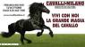 CAVALLIaMILANO, Fiera dedicata all'equitazione- prossima edizione 2013 - Rho (MI)