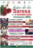 Festa de la Saresa, Festa Della Ciliegia A Ceresara - Ceresara (MN)