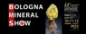 Bologna Mineral Show, Fiera Di Minerali, Fossili, Gemme, Bijoux Expo - Casalecchio Di Reno (BO)