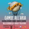 Festival Gambe all'aria, Teatro-musica-incontri - Verona (VR)