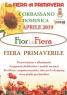 Fiorinfiera, La Fiera Di Primavera Di Orbassano - Orbassano (TO)