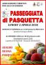 Passeggiata Di Pasquetta, Il Lunedì Di Pasqua A Zubiena - Zubiena (BI)