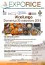 Festa della Zucca e del Riso a Vicolungo, I Sapori Della Sagra Autunnale - Vicolungo (NO)