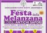 Festa della Melanzana di abatemarco, Edizione 2022 - Montano Antilia (SA)