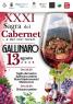 Sagra del Cabernet e dei Vini Locali a Gallinaro, Edizione 2026 - Gallinaro (FR)