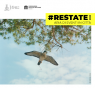 Restate, Gli Eventi Dell'estate A Reggio Emilia - Reggio Emilia (RE)