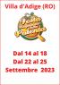 Festa Regionale Della Polenta, 37ima Edizione - 2022 - Badia Polesine (RO)
