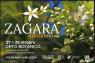 La Zagara, Mostra Mercato Del Giardinaggio E Del Florovivaismo  - Palermo (PA)