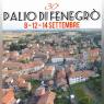 Palio Delle Cinque Contrade Di Fenegrò, 30^ Edizione - 2019 - Fenegrò (CO)