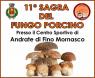 Sagra Del Fungo Porcino, Pronta La Sagra 2019 Ad Andrate - Fino Mornasco (CO)