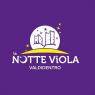 Notte Viola, Valdidentro Artisti Di Strada, Mercatino, Gonfiabili, Giostre, Musica, Discoteca - Valdidentro (SO)