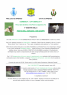 Festa Del Cane, Festa Dell'amicizia A Sei Zampe - Oppeano (VR)
