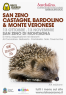 San Zeno Castagne, Bardolino & Monte Veronese, Alla Scoperta Dei Sapori Del Monte Baldo - San Zeno Di Montagna (VR)