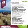 Sagra Della Transumanza, Edizione 2023 Pronta A Nebbiuno - Nebbiuno (NO)