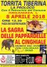 Sagra Delle Pappardelle Al Cinghiale, Stand Gastronomici E Musica - Torrita Tiberina (RM)