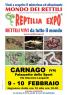 Reptilia Expo, L'affascinante Mondo Dei Rettili - Carnago (va) Rettili Vivi Da Tutto Il Mondo - Carnago (VA)