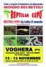 Reptilia Expo, Rettili Vivi Da Tutto Il Mondo Al Pala Oltrepo Di Voghera - Voghera (PV)